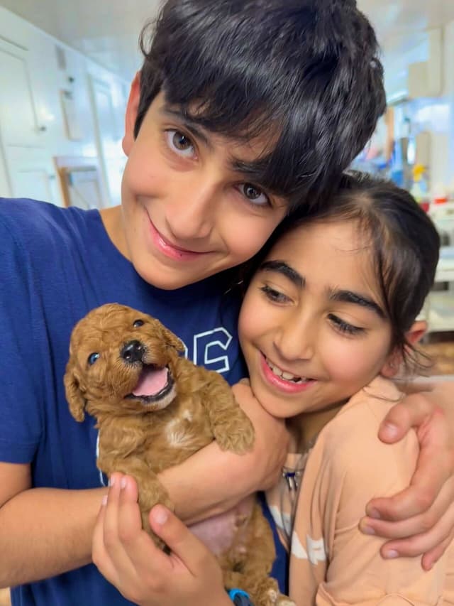 Kid holding puppy