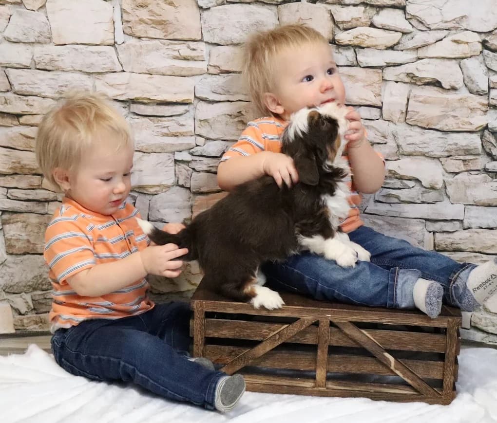 Breeder with puppies