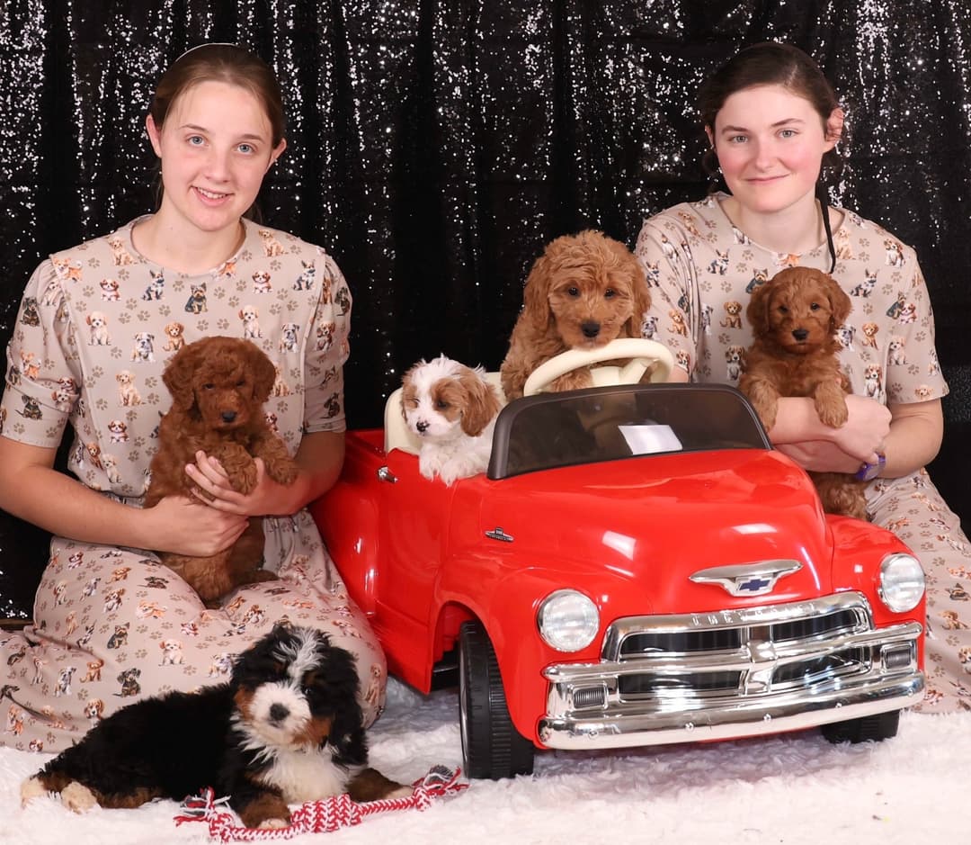 Breeder with puppies